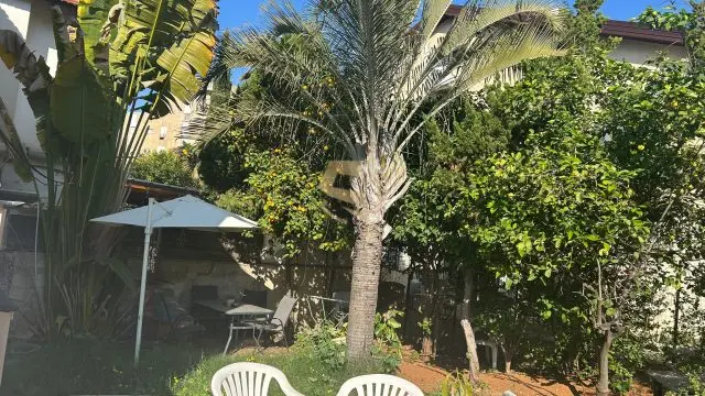 דירה 3 חדרים בקריית אונו – תמונה 3