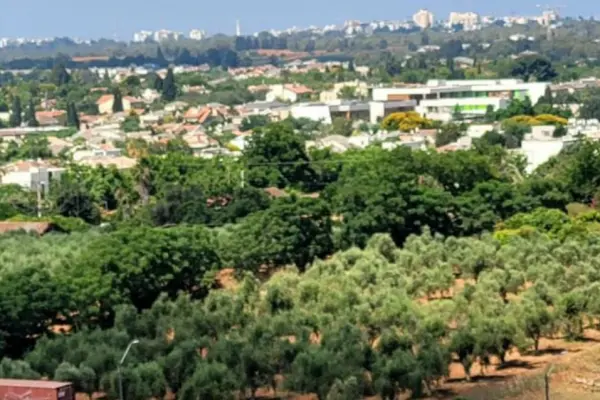 דירה 5 חדרים בהוד השרון – תמונה 2